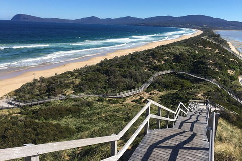 4-Day Fabulous Tasmania Tour: Wineglass Bay, Port Arthur, Devils & Bruny Island - Surfers Gold Coast 3