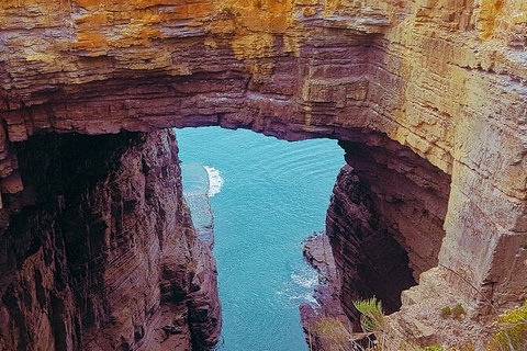 4-Day Fabulous Tasmania Tour: Wineglass Bay, Port Arthur, Devils & Bruny Island - Surfers Gold Coast 6