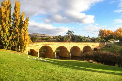 4-Day Fabulous Tasmania Tour: Wineglass Bay, Port Arthur, Devils & Bruny Island - Surfers Gold Coast 7