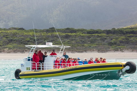 Wilsons Promontory Wilderness Cruise From Tidal River - Surfers Gold Coast 2