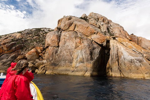 Wilsons Promontory Wilderness Cruise From Tidal River - Surfers Gold Coast 4
