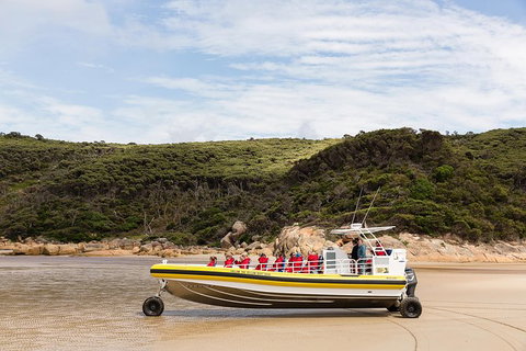 Wilsons Promontory Wilderness Cruise From Tidal River - Surfers Gold Coast 1
