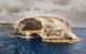 Wilsons Promontory Wilderness Cruise From Tidal River - thumb 7