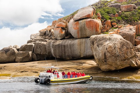 Wilsons Promontory Wilderness Cruise From Tidal River - Surfers Gold Coast 5