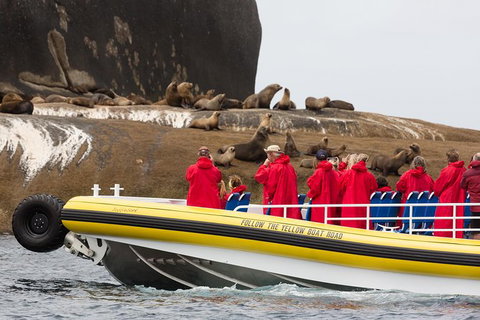 Wilsons Promontory Wilderness Cruise From Tidal River - Surfers Gold Coast 3