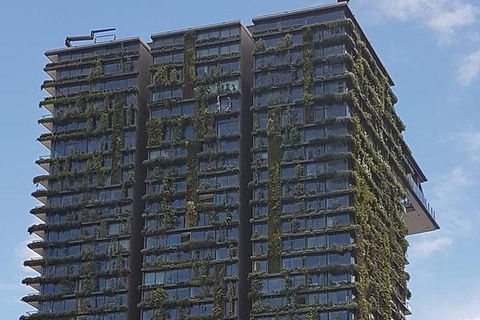 Sydney&Melbourne City Lovers- 2 Day Combo Private Tour! - Surfers Gold Coast 2