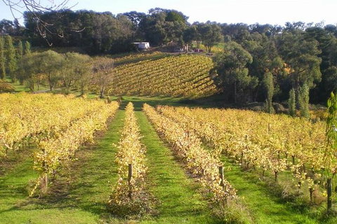 Macedon Ranges Winery Tour From Melbourne - Surfers Gold Coast 1