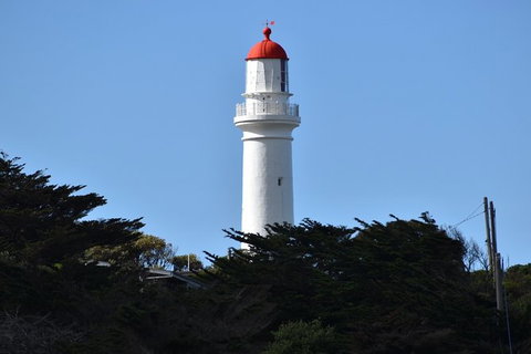 Great Ocean Road Tour Plus Koalas, Forest Walk And Morning Tea. - Surfers Gold Coast 1