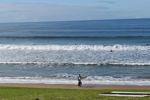 Great Ocean Road Tour Plus Koalas, Forest Walk And Morning Tea. - Surfers Gold Coast 9