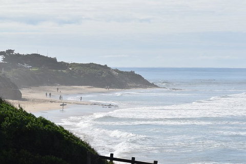 Great Ocean Road Tour Plus Koalas, Forest Walk And Morning Tea. - Surfers Gold Coast 10