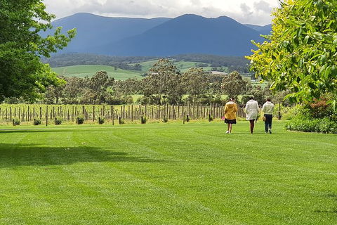 Yarra Valley Wine Tasting Day Tour From Melbourne - Surfers Gold Coast 6