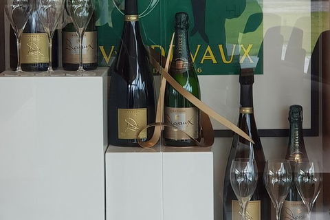 Yarra Valley Wine Tasting Day Tour From Melbourne - Surfers Gold Coast 2