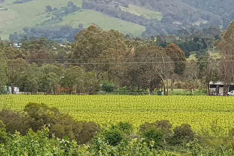 Day Tour Of Yarra Valley Puffing Billy And Rayners Orchard - Surfers Gold Coast 44