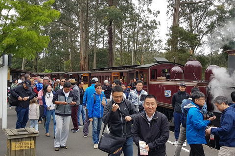 Day Tour Of Yarra Valley Puffing Billy And Rayners Orchard - Surfers Gold Coast 3