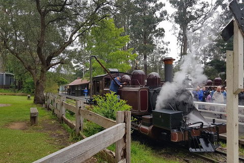 Day Tour Of Yarra Valley Puffing Billy And Rayners Orchard - Surfers Gold Coast 14