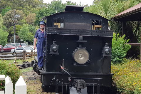 Day Tour Of Yarra Valley Puffing Billy And Rayners Orchard - Surfers Gold Coast 11