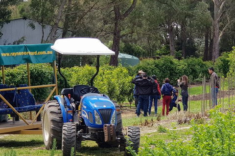 Day Tour Of Yarra Valley Puffing Billy And Rayners Orchard - Surfers Gold Coast 10