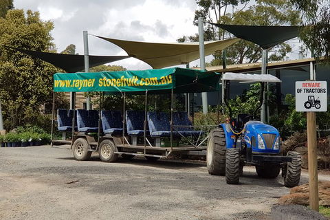 Day Tour Of Yarra Valley Puffing Billy And Rayners Orchard - Surfers Gold Coast 17