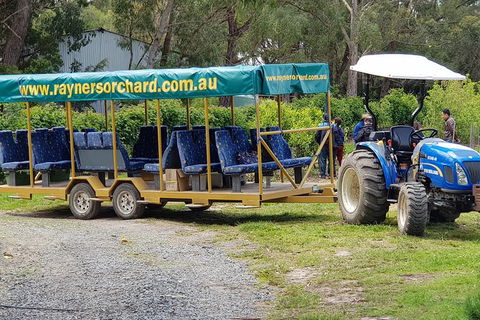 Day Tour Of Yarra Valley Puffing Billy And Rayners Orchard - Surfers Gold Coast 48