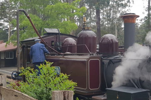Day Tour Of Yarra Valley Puffing Billy And Rayners Orchard - Surfers Gold Coast 5