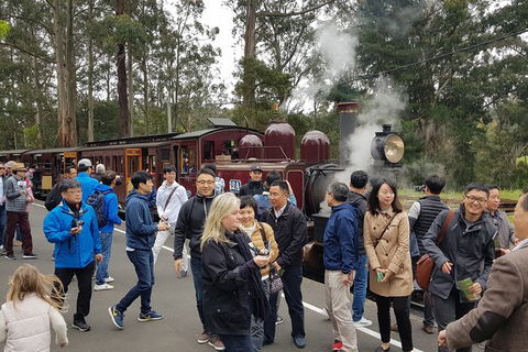 Day Tour Of Yarra Valley Puffing Billy And Rayners Orchard - Surfers Gold Coast 18