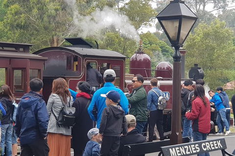 Day Tour Of Yarra Valley Puffing Billy And Rayners Orchard - Surfers Gold Coast 40