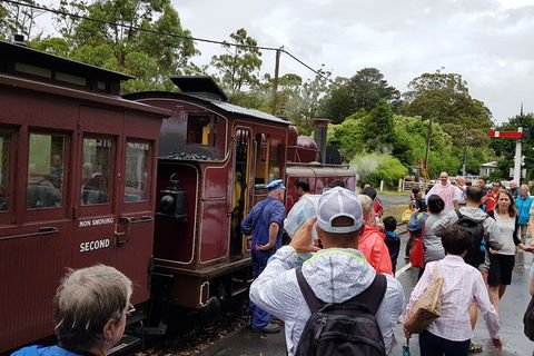 Day Tour Of Yarra Valley Puffing Billy And Rayners Orchard - Surfers Gold Coast 23