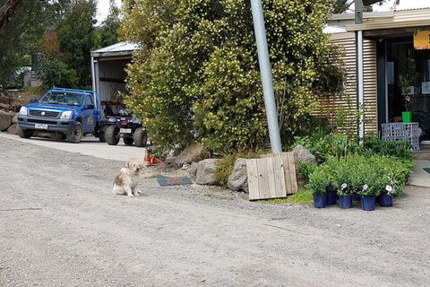Day Tour Of Yarra Valley Puffing Billy And Rayners Orchard - Surfers Gold Coast 6
