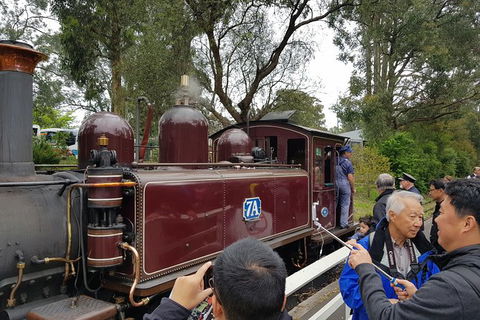 Day Tour Of Yarra Valley Puffing Billy And Rayners Orchard - Surfers Gold Coast 28