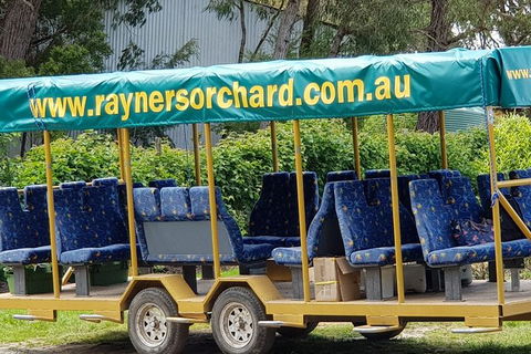 Day Tour Of Yarra Valley Puffing Billy And Rayners Orchard - Surfers Gold Coast 33