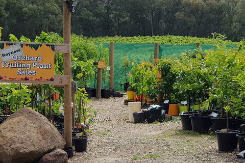 Day Tour Of Yarra Valley Puffing Billy And Rayners Orchard - Surfers Gold Coast 22
