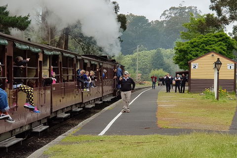 Day Tour Of Yarra Valley Puffing Billy And Rayners Orchard - Surfers Gold Coast 0