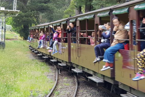 Day Tour Of Yarra Valley Puffing Billy And Rayners Orchard - Surfers Gold Coast 13