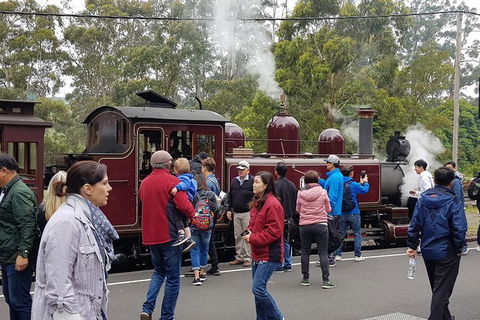 Day Tour Of Yarra Valley Puffing Billy And Rayners Orchard - Surfers Gold Coast 4