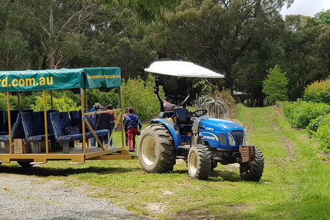 Day Tour Of Yarra Valley Puffing Billy And Rayners Orchard - Surfers Gold Coast 25