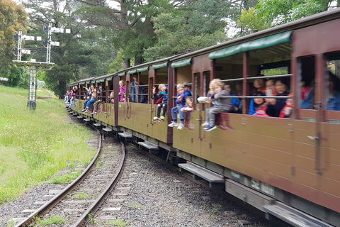 Day Tour Of Yarra Valley Puffing Billy And Rayners Orchard - Surfers Gold Coast 24