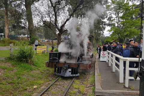 Day Tour Of Yarra Valley Puffing Billy And Rayners Orchard - Surfers Gold Coast 43