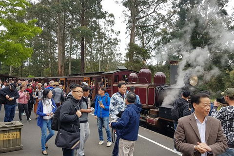 Day Tour Of Yarra Valley Puffing Billy And Rayners Orchard - Surfers Gold Coast 12