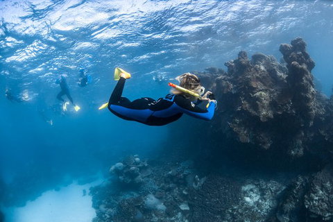 Ningaloo Adventure And Manta Ray Tour - Surfers Gold Coast 6