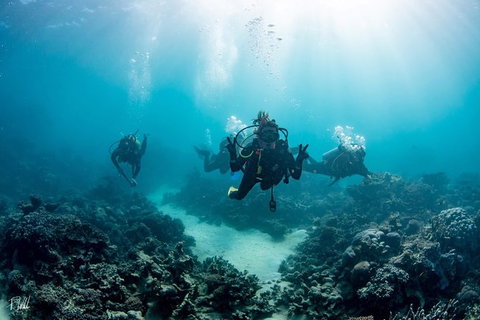 Ningaloo Adventure And Manta Ray Tour - Surfers Gold Coast 4