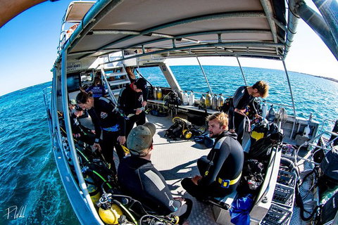 Ningaloo Adventure And Manta Ray Tour - Surfers Gold Coast 8