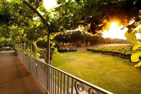 Busselton And Scenic Drive Full Day Tour - Surfers Gold Coast 9