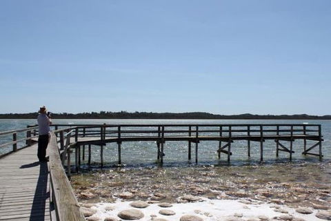 Busselton And Scenic Drive Full Day Tour - Surfers Gold Coast 5