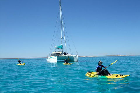 5 Night Ningaloo Reef Ningaloo Escape From Coral Bay - Surfers Gold Coast 0