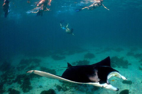 5 Night Ningaloo Reef Ningaloo Escape From Coral Bay - Surfers Gold Coast 1