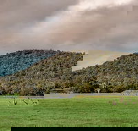 Baldwins Bluff Guided Hike - Surfers Gold Coast