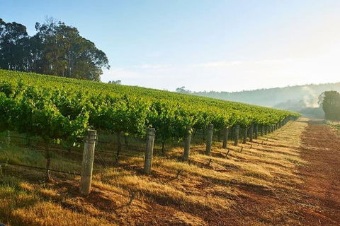 Botanical Gardens, Winery And Scenic Full Day Tour - Surfers Gold Coast 2