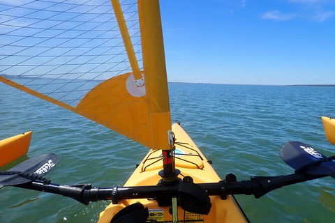 Sailing Kayak Adventure Through The Peel Harvey Estuary - Surfers Gold Coast 2