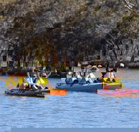 Private Guided River Kayak Tour - Surfers Gold Coast