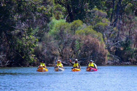 Private Guided River Kayak Tour - Surfers Gold Coast 6